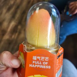 Paradise Frappe - Mango Ice Cream