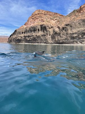 The Cortez Club, Dive Center. by null
