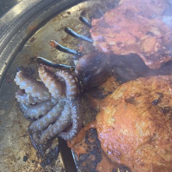 Maple Korean BBQ - Octopus  yum - Barbeque Near Me - Oklahoma City, Oklahoma