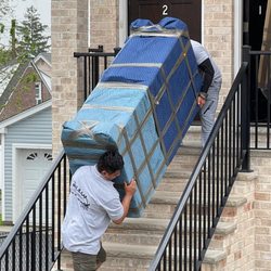Golden Glove Movers