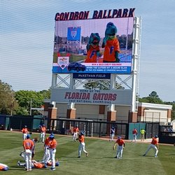 Florida Ballpark