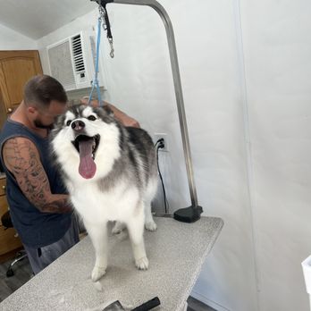 Clip-N & Groom-N - Pet Groomers Near Me - Dixon, California Clip-N & Groom-N - Pet Groomers Near Me - Dixon, California