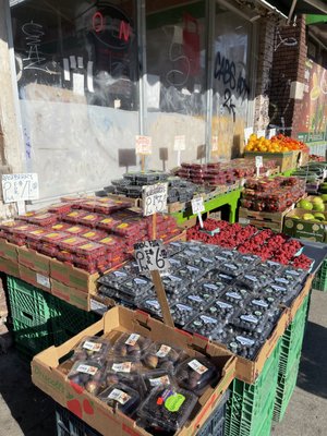 Bloor Fruit Market by null