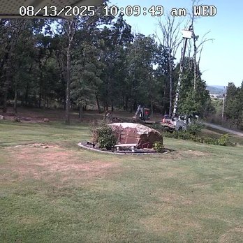 Prairie Grove Tree Service - Dead trees at front of property. - Tree Services Near Me - Prairie Grove, Arkansas Prairie Grove Tree Service - Dead trees at front of property. - Tree Services Near Me - Prairie Grove, Arkansas