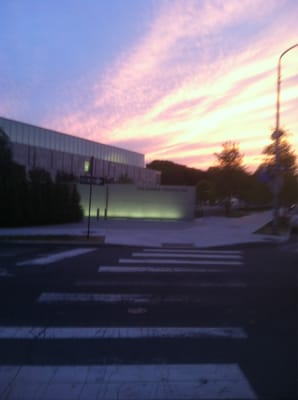 Barnes Foundation by null