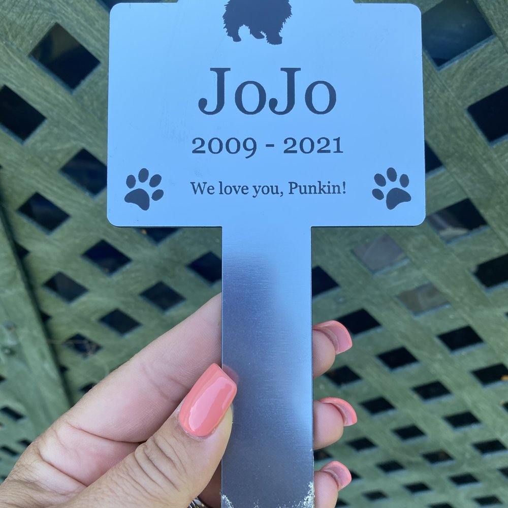 Waterfront Animal Hospital - Veterinarians Near Me - Maurepas, Louisiana Waterfront Animal Hospital - Veterinarians Near Me - Maurepas, Louisiana
