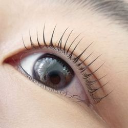Jin Aesthetics - Eye Lash Lift