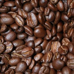 Black Bear Coffee - gercek colobia kahvesi hemde full city
