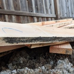 Castro Valley Lumber - Mold!!!