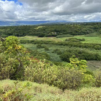 Kipu Ranch Adventures - Tours Near Me - Lihue, Hawaii Kipu Ranch Adventures - Tours Near Me - Lihue, Hawaii