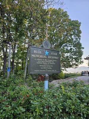 Mill Mountain Star by null