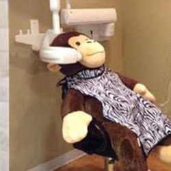Planet Tooth Pediatric Dentistry - Planet Tooth Main Room