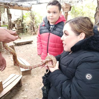 Fort Cross Old Timey Adventures - Wifey with her kind ,the  Snake - Tours Near Me - Santa Ysabel, California