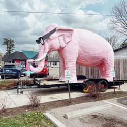 Pink Elephant - Fortville