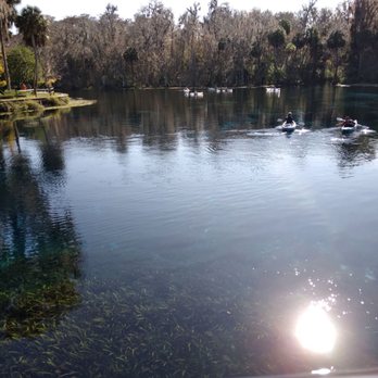 Silver Springs State Park - Beautiful day - Tours Near Me - Silver Springs, Florida Silver Springs State Park - Beautiful day - Tours Near Me - Silver Springs, Florida