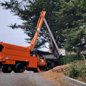 JT & Sons Tree Service - Tree Services Near Me - Gold Beach, Oregon JT & Sons Tree Service - Tree Services Near Me - Gold Beach, Oregon