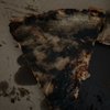Mario The Baker gift card