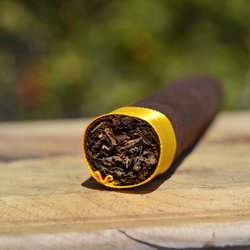 Imperial Cigar