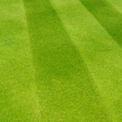 Mossy Ridge Lawn Care
