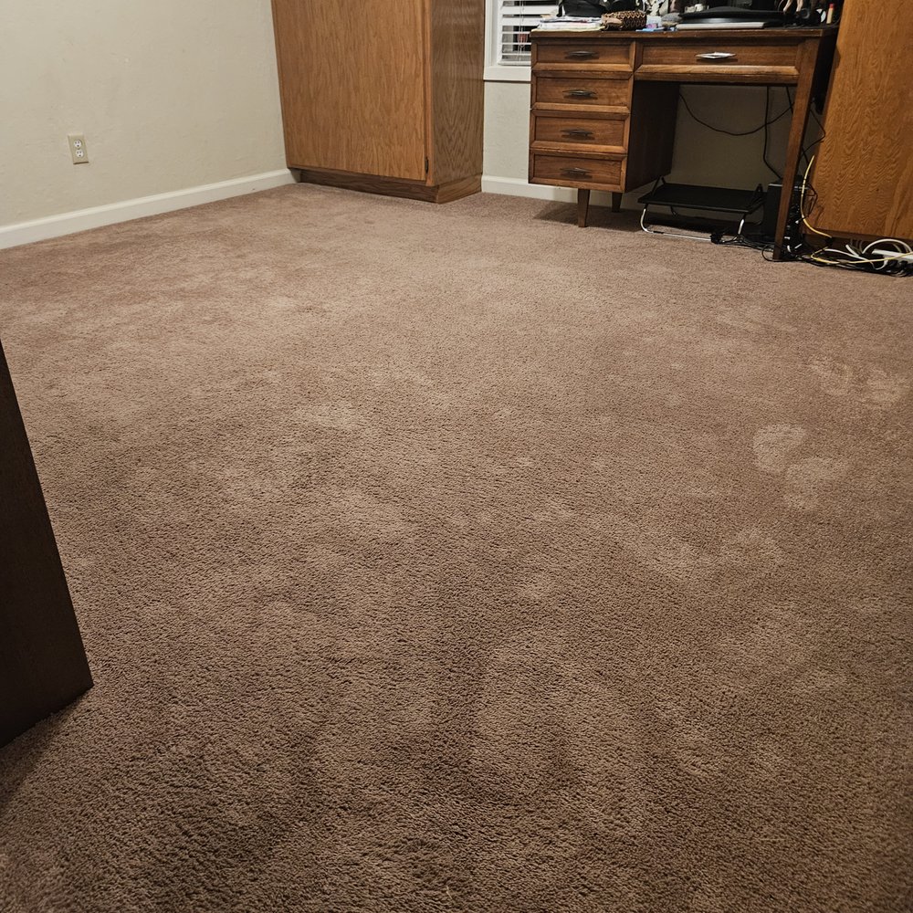 Scrub Troopers - Can see in this pic that all the staining, which was walkway to desk area and corner where pets where, is gone! - Carpet Cleaning Near Me