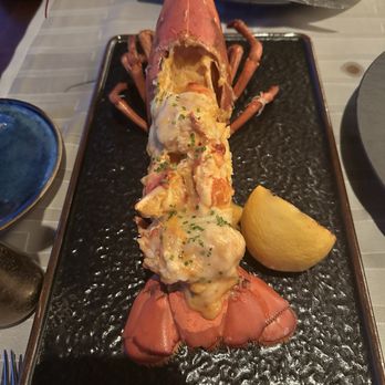 Aqueous - Lobster Thermidor - New American Near Me - Farmington, Pennsylvania