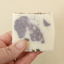 Xina Events - Lavender Moisturizing Shampoo Bars