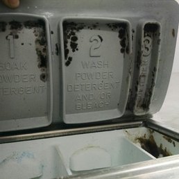 Both of the largest commercial washers had significant mold in the detergent compartment, gross.
