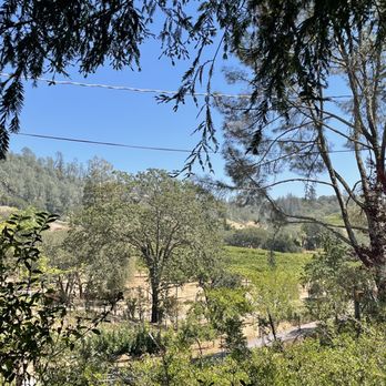 Frick Winery - View - Wineries Near Me - Geyserville, California Frick Winery - View - Wineries Near Me - Geyserville, California