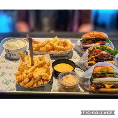 Shake Shack Old Town by null