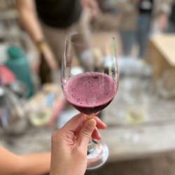 Picchetti Winery - Red wine