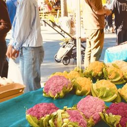 You don't see 3 different colors of cauliflowers at the grocery store You don't see 3 different colors of cauliflowers at the grocery store