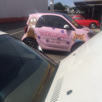 Grand Prix Performance - Even dog lovers need service on there cars place is wonderful - Tires Near Me - Costa Mesa, California Grand Prix Performance - Even dog lovers need service on there cars place is wonderful - Tires Near Me - Costa Mesa, California