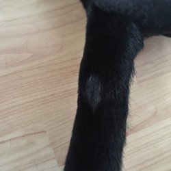 The Beauty Pawlour