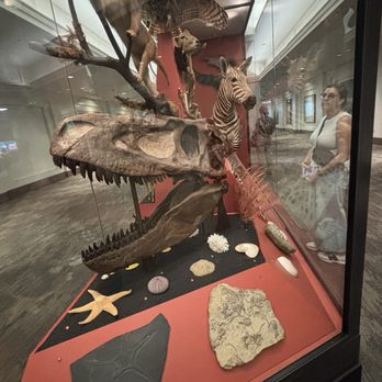 Field Museum - Museums Near Me - Chicago, Illinois