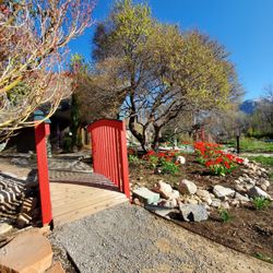 Asian Garden