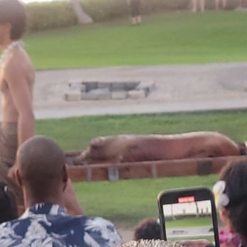 Paradise Cove Luau - Performing Arts Near Me - Kapolei, Hawaii Paradise Cove Luau - Performing Arts Near Me - Kapolei, Hawaii