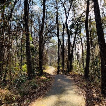 Green Creek Trail - Trail - Hiking Near Me - Richmond Hill, Georgia Green Creek Trail - Trail - Hiking Near Me - Richmond Hill, Georgia