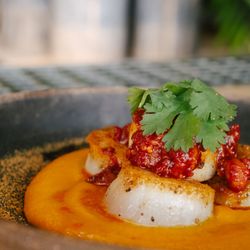 Colita - Seared Scallops with carrot puree, salsa macha, peanut, and fresno