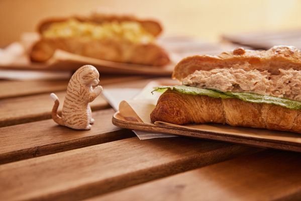 KIJITORA East by null