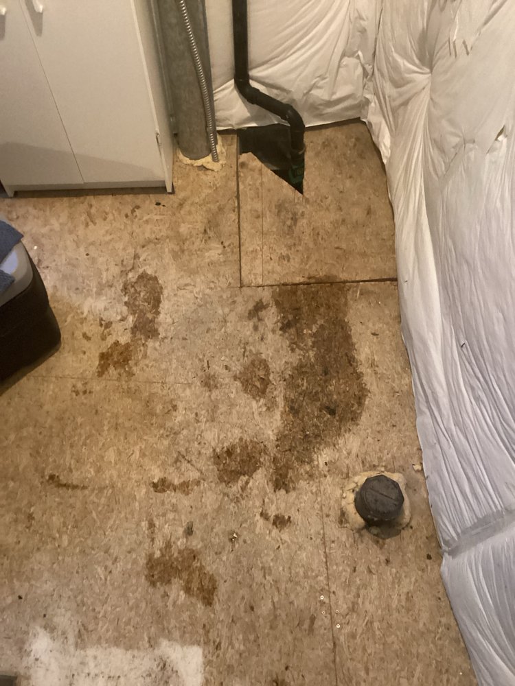 Slide of Luxe Plumbing