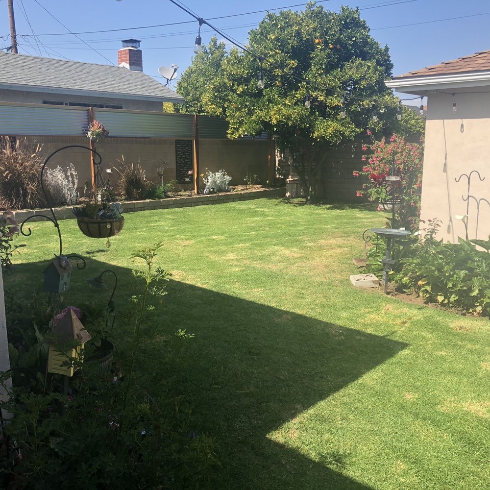 Gonzalo and Sons - Bringing the grass back to green. Cleaned up shrubs. Nice lines. Weeded!! Thanks guys! - Tree Services Near Me Gonzalo and Sons - Bringing the grass back to green. Cleaned up shrubs. Nice lines. Weeded!! Thanks guys! - Tree Services Near Me