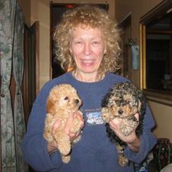 Jane of All Trades - Our walker, Jeannette - Dog Walkers Near Me - Chicago, Illinois Jane of All Trades - Our walker, Jeannette - Dog Walkers Near Me - Chicago, Illinois