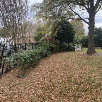 Hathaway's Demo Construction Environmental Services - Bushes relocated. - Tree Services Near Me Hathaway's Demo Construction Environmental Services - Bushes relocated. - Tree Services Near Me