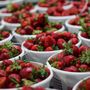 Photo of Greensboro Farmers Curb Market