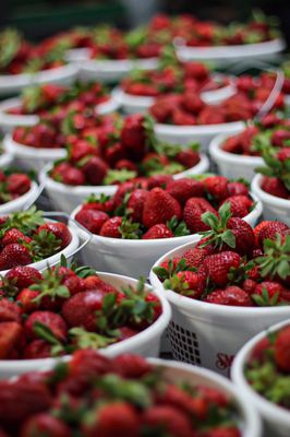 Greensboro Farmers Curb Market by null