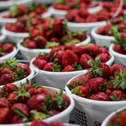 Greensboro Farmers Curb Market