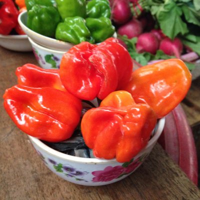 Mercado Lucas De Galvéz by null