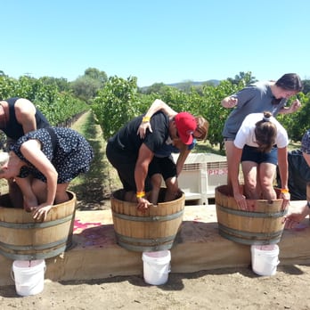 Peju Winery - Brings couples closer - Wine Tasting Room Near Me - Rutherford, California Peju Winery - Brings couples closer - Wine Tasting Room Near Me - Rutherford, California