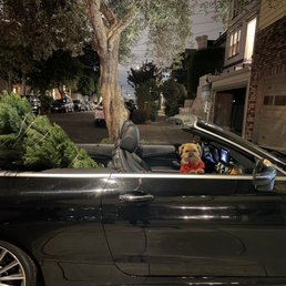 Happy holidays from Pete! Happy holidays from Pete!