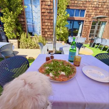 Ambrogio15 - Outdoor patio dining and pup friendly - Pizza Near Me - San Diego, California Ambrogio15 - Outdoor patio dining and pup friendly - Pizza Near Me - San Diego, California